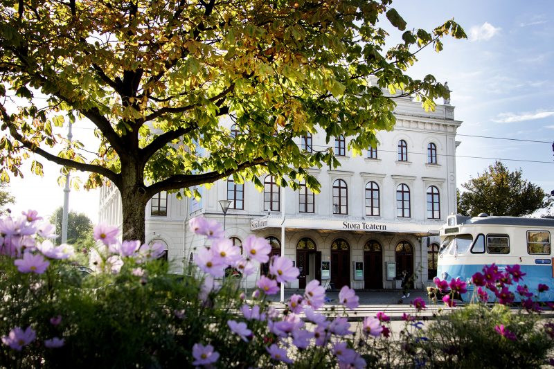 Stora Teatern i Göteborg med lila blommor och ett träd